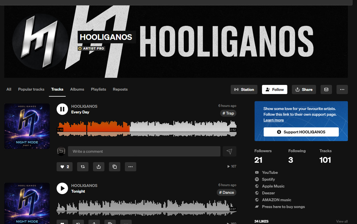 Music promotion campaign sample